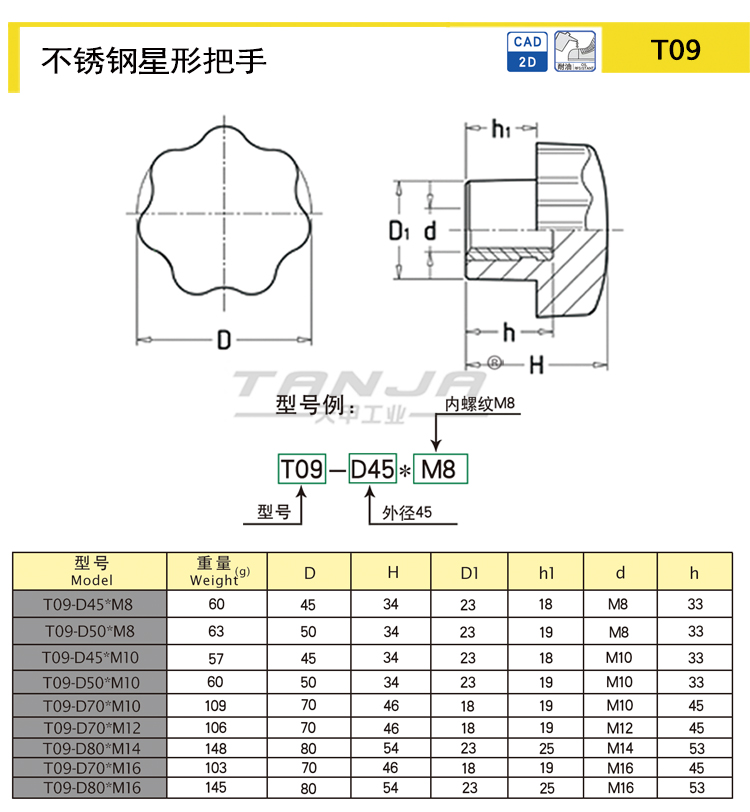 T09 2.jpg