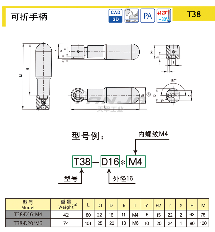 T38 2.jpg