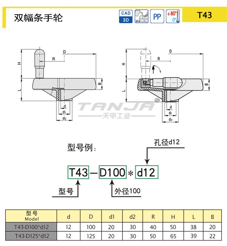 T43 2.jpg