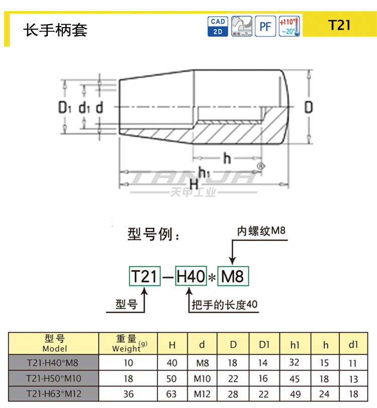 T21 2.jpg