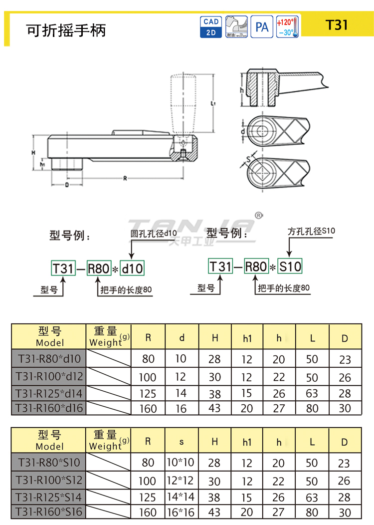 T31-new112.jpg